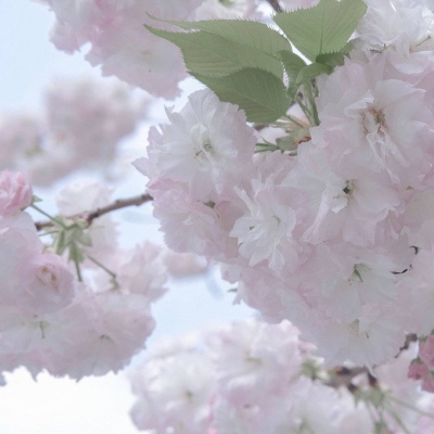 松山福瑞交流群